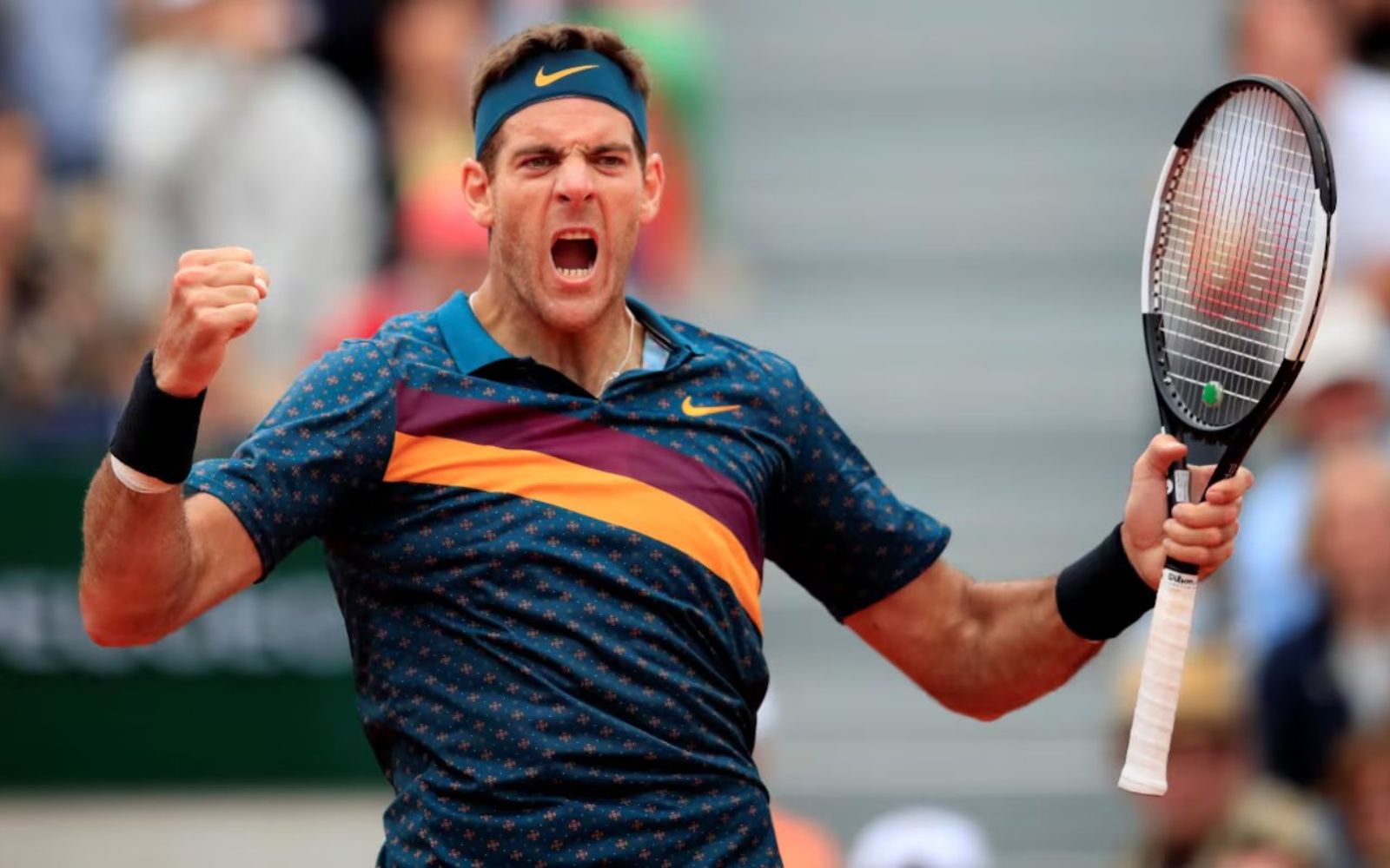 Juan Martín del Potro vers le Panthéon du Tennis