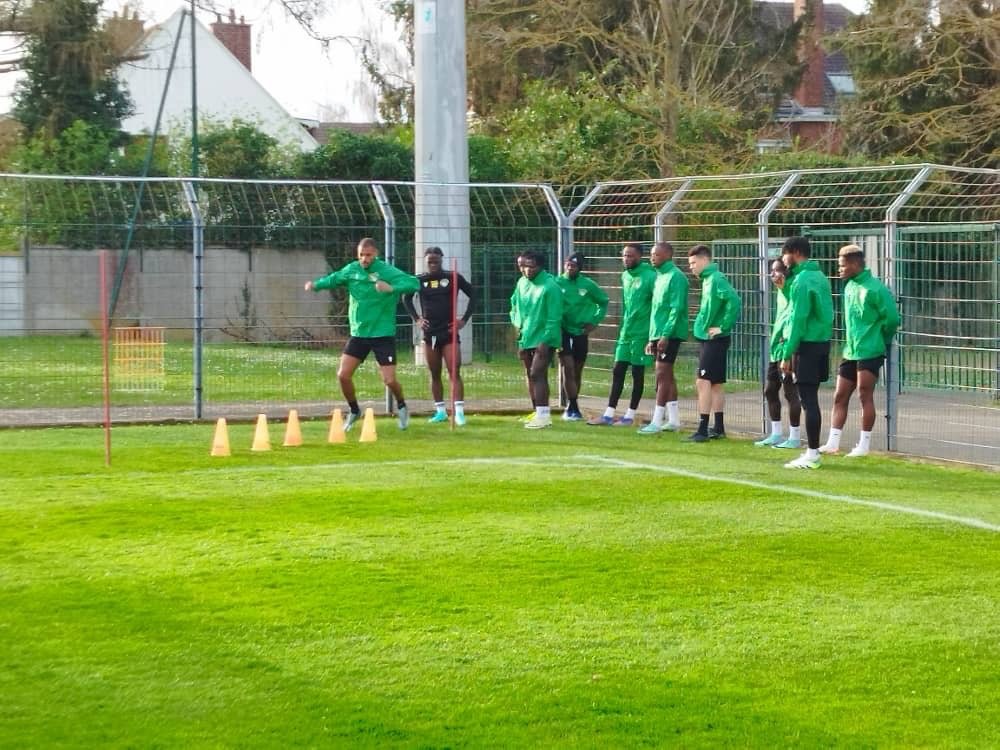 Journées FIFA mars 2024 : Les Guépards du Bénin lancent le rassemblement en France