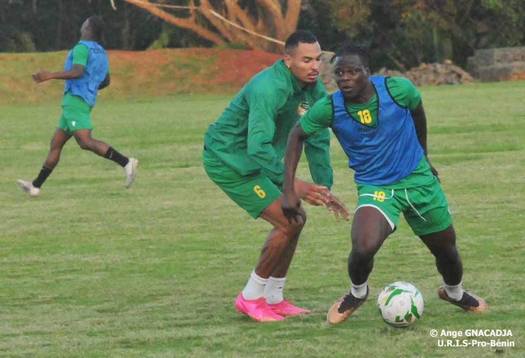 Afrique du Sud vs Bénin : FIFA+ va diffuser le match en direct, détails