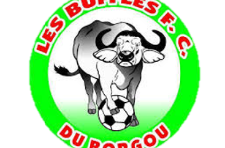 Parcours des équipes de la Zone A en Ligue Pro 2023-2024 : Phase aller en chiffre avec Buffles FC